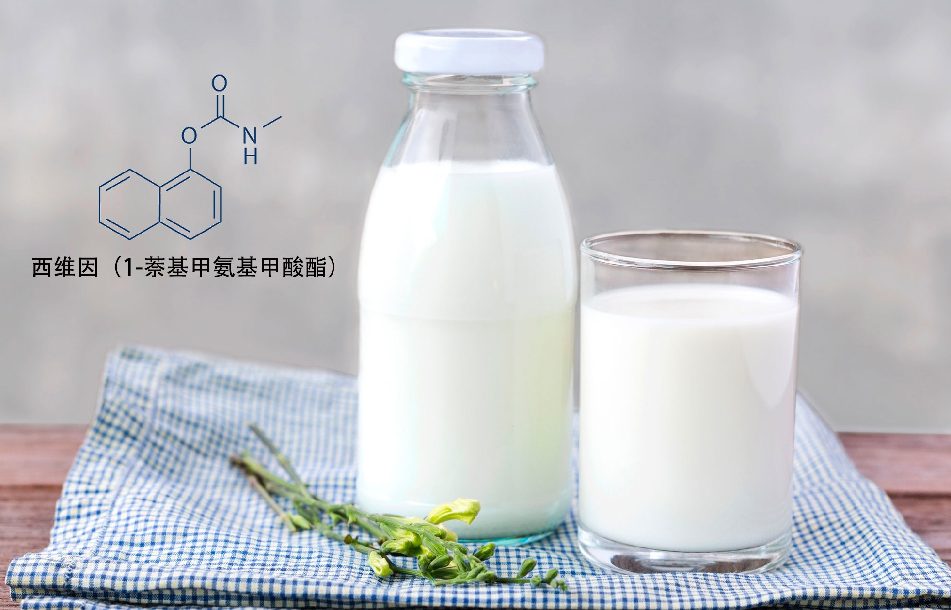 1649666685128373.jpg Carbaryl西維因內容圖-中.jpg