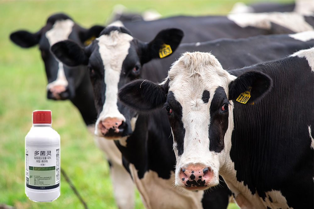 1649669276654393.jpg Carbendazim多菌靈 內容圖-中.jpg